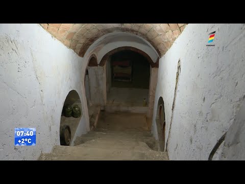 "MICA CRICOVĂ" DIN COSTULENI