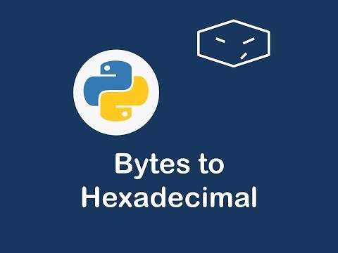 bytes to hexadecimal in python 