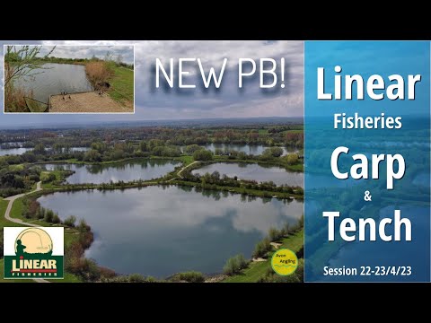 Linear Fisheries - Carp & Tench - New PB On A New Lake - Tar Farm 8 - 22➜23/4/23 (Video 400)