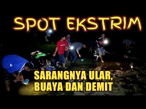 mer1ndng-tapi-seru-cari-ikan-tengah-malam-di-sungai-brantas-saat-surut-banyak-ularnya-evlog-88