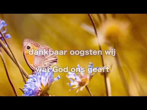 Opwekking 610 Als gebed de hemel raakt 1B