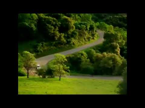 Relaxing Car Drive (Blue Lobster)