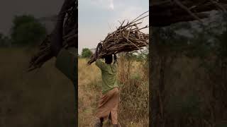 African village life #shortvideo