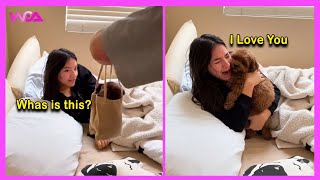 🐕 New Puppy Surprise Compilation That Will Melt Your Heart ❤️