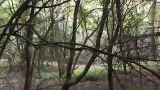 The Other Side of The Hill