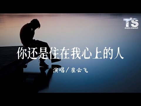 崔云飞 - 你还是住在我心上的人【动态歌词/Pinyin Lyrics】Cui Yun Fei - Ni Hai Shi Zhu Zai Wo Xin Shang De Ren