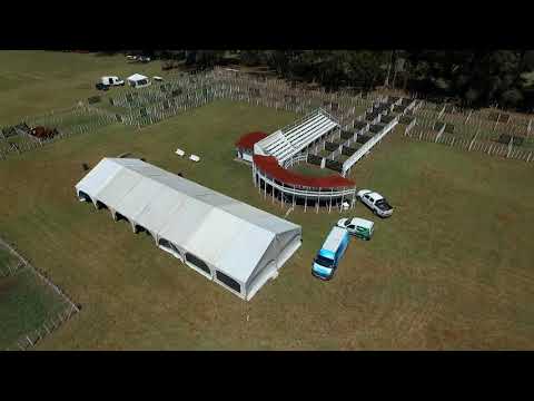 1º Venta de Vientres de Fin de Año