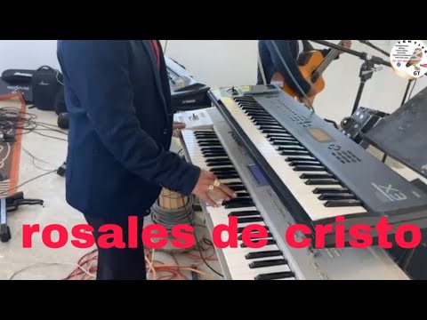 Rosales de cristo de tacana san marcos 