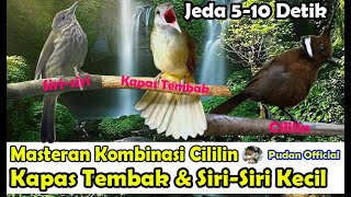 Download lagu MASTERAN KOMBINASI SIRI SIRI KECIL, KAPAS TEMBAK DAN CILILIN JEDA RAPAT 5 - 10 DETIK - SUARA JERNIH mp3