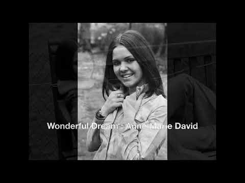 Wonderful Dream : Anne Marie David