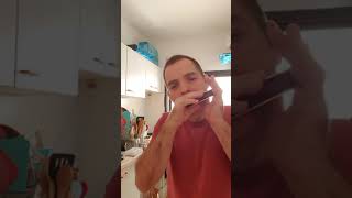 Video thumbnail for Hohner Golden Melody Tremolo F by Zvika Dror