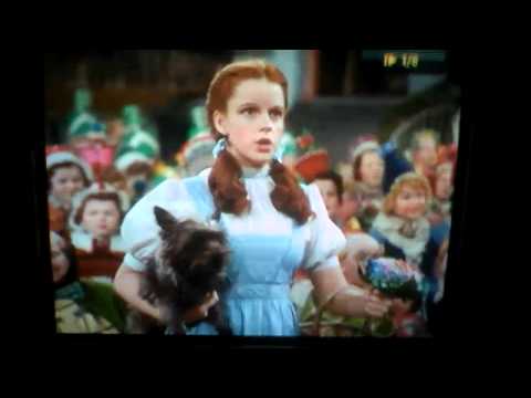 Dorothy in Wonderland part 15 The Mad Tea Party (Part 2; The Mouse Arrives Again)