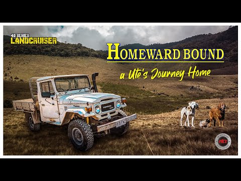 This HJ47 Ute has been passed down the family and now it's getting back on the road! Mr Landcruiser