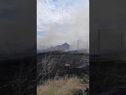 INCENDIO TRES ARROYOS 7-01-2026