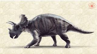 Conservation of plants and animals || Red Data Book || Part - 1