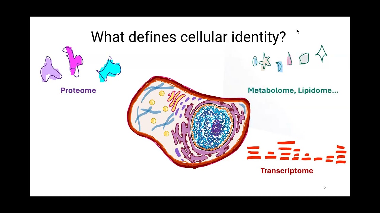 New tools for precision multimodal measurement of single cells and single molecules