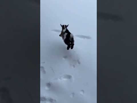 28 грудня 2025 р.