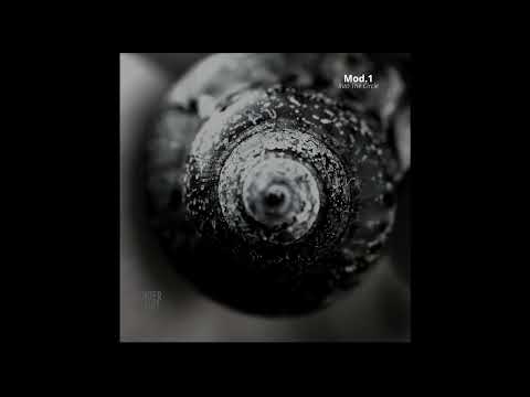 Mod.1 - Archanoid Space