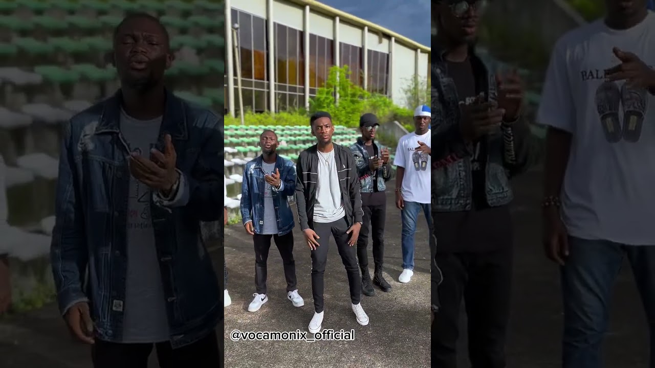 Ed shearan - perfect (vocamonix cover)