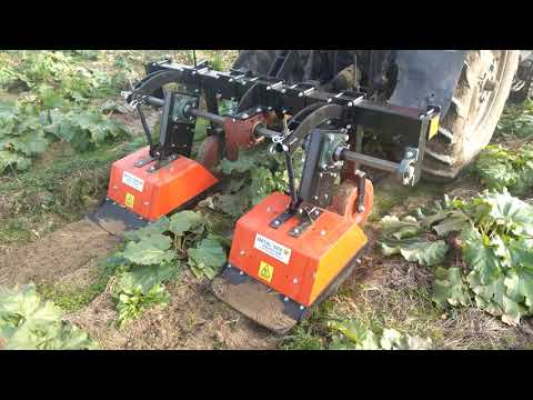 Glebogryzarka międzyrzędowa na plantacji rabarbaru | Rotary cultivator on a rhubarb plantation