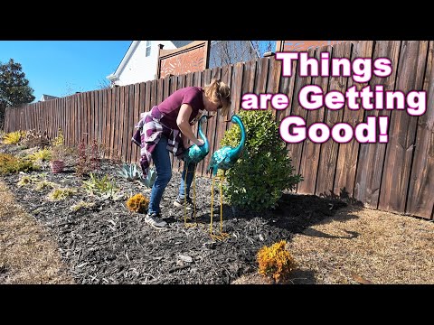 You Can Feel Gardening Season in the Air | My Carolina Garden