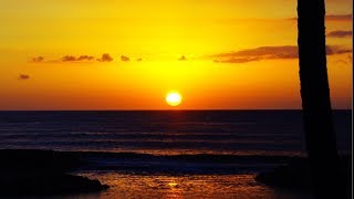 勝利の酒を飲みながら地獄のハワイ旅行感想＆振り返り配信のサムネイル