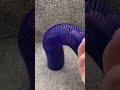 Slinky Spring Sensory Toy