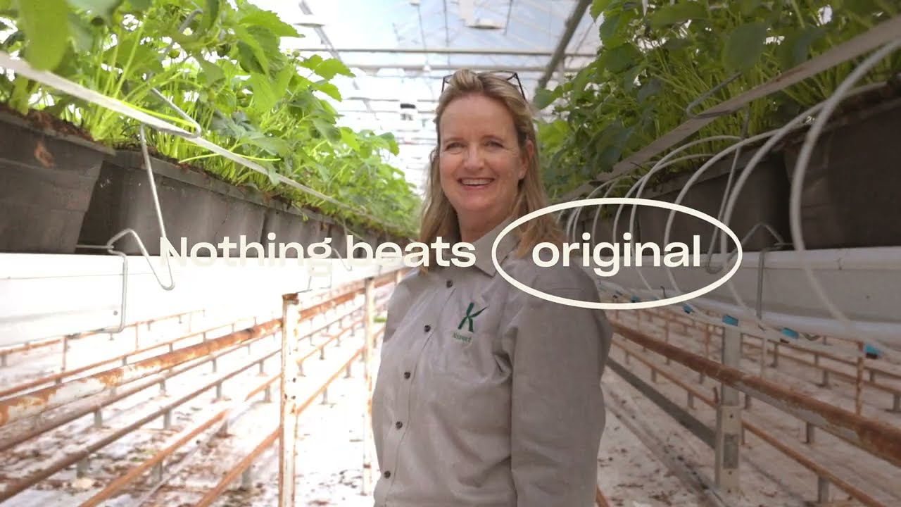 Video preview poster