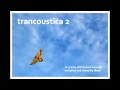 Trancoustica 2 | Trance Acoustic Hits 