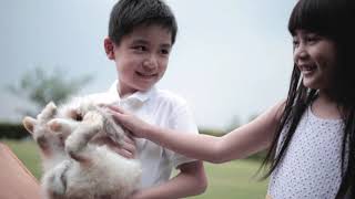 Download lagu InterContinental Bandung Dago Pakar mp3 Download lagu InterContinental Bandung Dago Pakar mp3