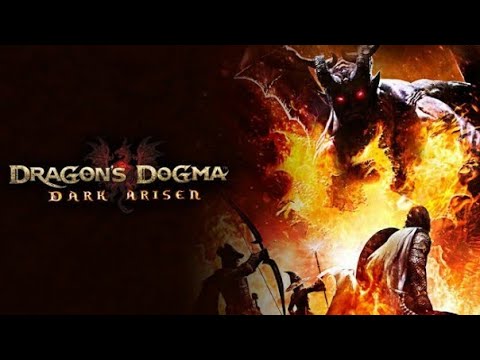 Playhit - dragon's dogma