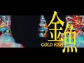 【短片 short film】金魚 gold fish ｜金魚七秒的記憶 2020