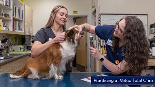 Practicing at Vetco Total Care