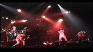 RHCP - Transcending Live