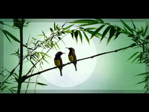 Nửa ánh mặt trời - Tuấn Ngọc