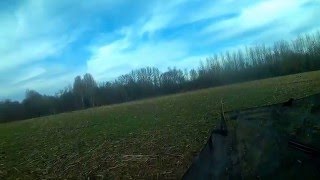 affut au pigeon et corbeau en toute rigolade.....mais toujours en securité