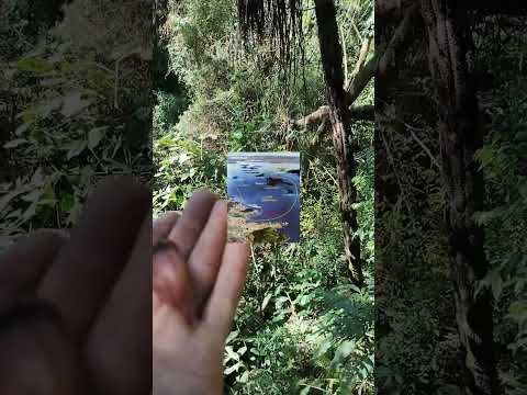 Reserva da Lagoa Azul pr