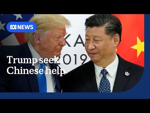 Trump pleads with Xi to pressure Russia to end Ukraine war | ABC NEWS