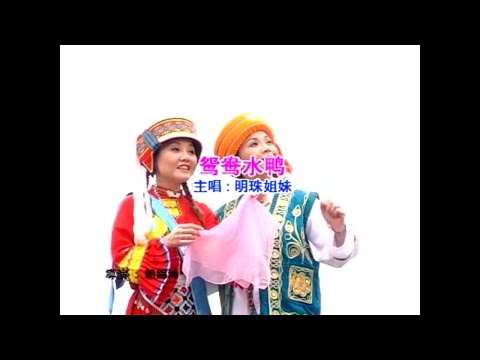 明珠姐妹 -【鸳鸯水鸭】 #福建金曲#