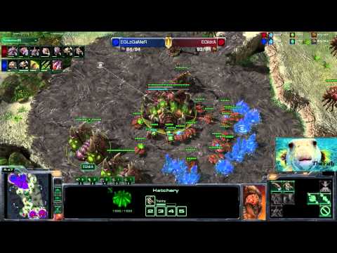 EGIdra v EGLzGamer - ZvZ Ohana