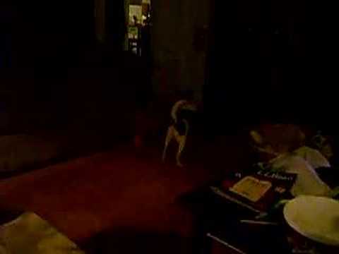 Elliot and Hazel Part 3