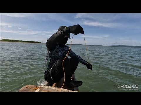 EP710-P1 - Baramundi Catch and Cook | Another Dream Fish Unlocked