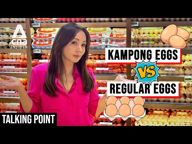 Are Expensive Eggs More Nutritious? | Talking Point | Full Episode SDDEFAULT Thumbnail