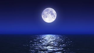 Ohne Stress unter den Wolken Lyrics English Translation