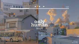 • VIETSUB • WayV &#39;Only Human&#39; Lyrics | Hawyn &amp; Hamilk