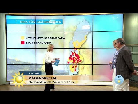 Väderflippen "Här är det stor risk för gräsbränder" - Nyhetsmorgon (TV4)