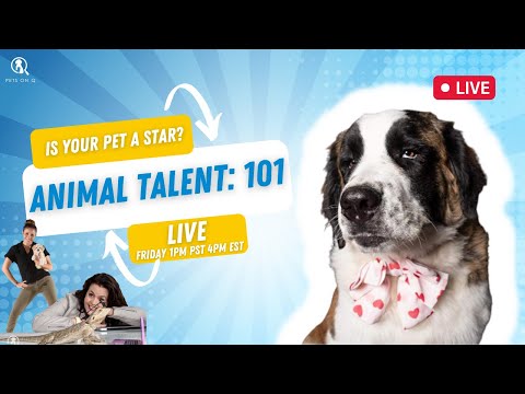 Pets on Q Live with Colleen and Mary Kate