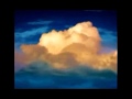 Logos In Reverse LOL Wmv