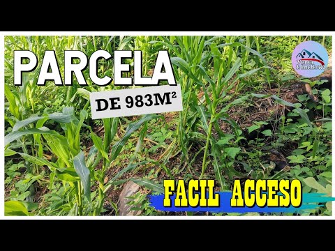 Oferta de Terreno de 983m² en Guazapa Departamento de San Salvador. 👌 