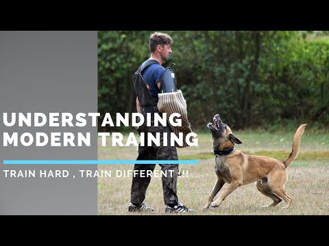 How should i train a german shepherd . Dog training video with Viorel Scinteie